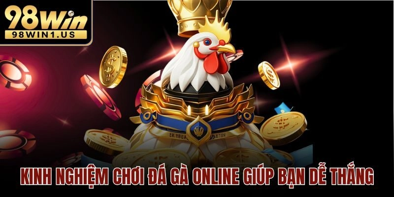 Kinh nghiệm chơi đá gà online giúp bạn dễ thắng