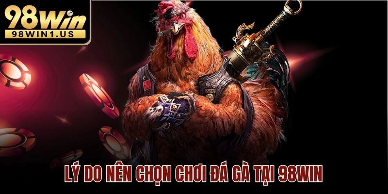 Lý do nên chọn chơi Đá Gà tại 98win