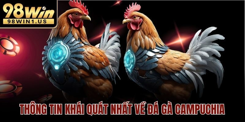 Thông tin khái quát nhất về đá gà Campuchia